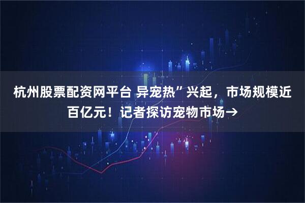 杭州股票配资网平台 异宠热”兴起，市场规模近百亿元！记者探访宠物市场→