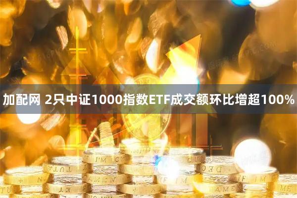 加配网 2只中证1000指数ETF成交额环比增超100%