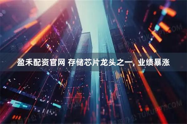 盈禾配资官网 存储芯片龙头之一, 业绩暴涨