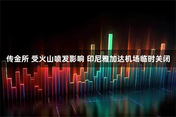 传金所 受火山喷发影响 印尼雅加达机场临时关闭